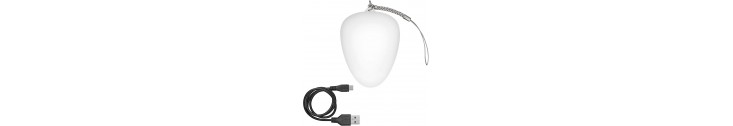 Lampes De Poche, Sac À Mains