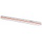 e-10161 00 reduction pour ecolier en plastique 30 cm (blanc)