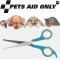 PETS AID ONLY Ciseaux de toilettage, rond, 170 ml, turquoise