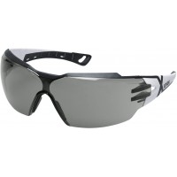 Lunettes de Protection Pheos CX 2 | Oculaire PC Gris Lentilles Antibuee | Resistantes aux Rayures | Protection UV400