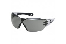 Lunettes de Protection Pheos CX 2 | Oculaire PC Gris Lentilles Antibuee | Resistantes aux Rayures | Protection UV400