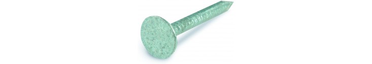 Clous Tête Plate