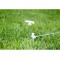 10391 Lot de 6 piquets fluorescents pour Caravane 24 cm