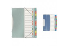 Esselte 626256 Colour'Ice Esselte Trieur A4 capacite 200 feuilles index Interchangeableï¼ŒCouleurs Assorties & Trieur A4, Transl