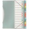 Esselte 626256 Colour'Ice Esselte Trieur A4 capacite 200 feuilles index Interchangeableï¼ŒCouleurs Assorties & Trieur A4, Transl