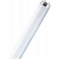 Lot de 25 : Osram Lumilux T8, lampes fluorescentes, prises G13L 36 W / 830 