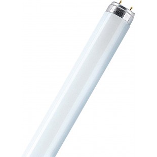Lot de 25 : Osram Lumilux T8, lampes fluorescentes, prises G13L 36 W / 830 