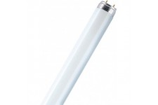 Lot de 25 : Osram Lumilux T8, lampes fluorescentes, prises G13L 36 W / 830 