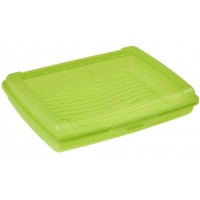 keeeper Boite Fraicheur avec Fermeture a Clic, 17 x 13 x 3,5 cm, 500 ml, Luca Mini, Vert