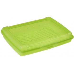 keeeper Boite Fraicheur avec Fermeture a Clic, 17 x 13 x 3,5 cm, 500 ml, Luca Mini, Vert