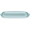 keeeper Boite de Transport pour Gateaux avec Plateau de Service, Plastique sans BPA, 43 x 25 x 18 cm, Gino, Vert Menthe