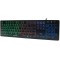 LogiLink ID0138 USB Allemand Noir Clavier - Claviers (Standard, avec Fil, USB, Clavier a  Membrane, LED, Noir)