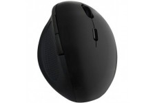 LogiLink id0139 Ergonomique Souris sans Fil, 2,4 GHz, 1600 DPI Noir