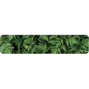 LogiLink ID0170 repose-poignet Noir, Vert - Reposes-poignet (Noir, Vert, 420 x 90 x 7 mm)