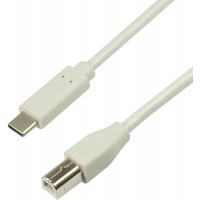 Cable de Connexion USB 2.0 Type C vers USB (Type B) Gris 1 m