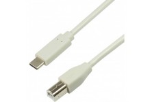 Cable de Connexion USB 2.0 Type C vers USB (Type B) Gris 1 m