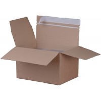 Lot de 10 : Smartbox Carton a monter 304x216x130220mm Brun 