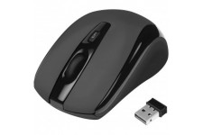 LogiLink ID0031 Souris Optique Mini 2,4 GHz 800/1600 dpi 3 Boutons Noir