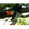 Garten Primus 01100 Secateur a  cliquet Noir/Orange 67 x 28 x 3,5 cm