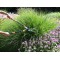 Jardin Primus - Cisaille a haie Multifonction 3 en 1 Noir/Orange, 68,7 x 16,9 x 2,9 cm, 01300