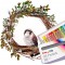 Pentel huile Pastel Set, Black/Blue/Brown/Green/Grey/Orange/Pink/Purple/Red/White, Pack of 16