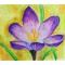 Pentel PHN Pastels a  l'huile Boite de 50 couleurs