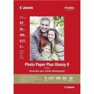 PP-201 Papier Photo Brillant Format A4 (20 feuilles)