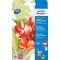 Avery Zweckform C2550-50 Papier photo jet d'encre Premium (10 x 15, unilateralement Revetement brillant, 250 g/m²) 50 feuilles