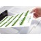250 Cartes de Visite Recto Bords Lisses Quick&Clean 200G/M² ILC Blanc Mat 85 X 54 mm