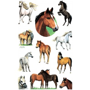 AVERY Zweckform 53483 sticker chevaux enfants 22 stickers