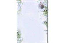 SIGEL DP302 Papier a  lettre de Noel, branches et boule de Noel, 21 x 29,7 cm, 90g/m², blanc et vert, 25 feuilles