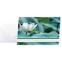 SIGEL DS006 Lot de 10 cartes de condoleances Amaryllis, avec enveloppe sans texte Blanc Agreable a  porter