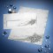 SIGEL DU136 Paquet de 50 Enveloppes etoile brillante 90 g