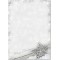 SIGEL DP136 Papier a  lettre de Noel, etoile de Noel, 21 x 29,7 cm, 90g/m², blanc, 100 feuilles