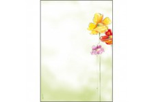 SIGEL DP123 Papier a  lettres, 21 x 29,7 cm, 90g/m², Fleurs de printemps, jaune, rouge, vert et rose, 50 feuilles