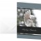 Sigel DS007 Tatmotive 'Im Gedenken'17 x 11,5 cm avec enveloppes Blanc-Lot de 10 en allemand