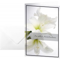 Sigel DS006 Lot de 10 cartes de condoleances avec amaryllis blanc 17 x 11,5 cm avec enveloppe blanche