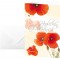 Sigel dS003 voeux red poppies 17 x 11,5 cm, avec, lot de 10 enveloppes blanches format c6