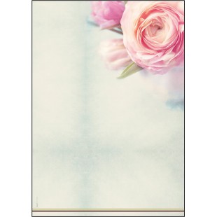 SIGEL DP004 Papier a  lettres, 21 x 29,7 cm, 90g/m², Roses, rose et vert, 50 feuilles