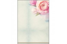 SIGEL DP004 Papier a  lettres, 21 x 29,7 cm, 90g/m², Roses, rose et vert, 50 feuilles