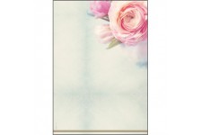 SIGEL DP004 Papier a  lettres, 21 x 29,7 cm, 90g/m², Roses, rose et vert, 50 feuilles