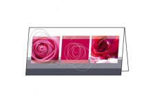 SIGEL DS176 25 Cartes de remerciements ou cartes de voeux fournies avec leur enveloppe, motif roses, 10,5 x 21 cm, rose