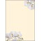 SIGEL DP904 Papier a  lettres, 21 x 29,7 cm, 90g/m², orchidees blanches, jaune, 50 feuilles,