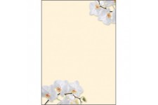 SIGEL DP904 Papier a  lettres, 21 x 29,7 cm, 90g/m², orchidees blanches, jaune, 50 feuilles,