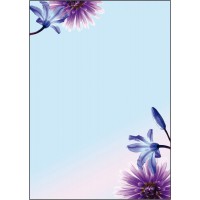 SIGEL DP903 Papier a  lettres, 21 x 29,7 cm, 90g/m², fleurs du printemps, bleu et violet, 50 feuilles,