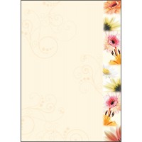 SIGEL DP788 Papier a  lettres, 21 x 29,7 cm, 90g/m², fleurs du printemps colorees, 50 feuilles,