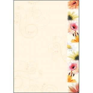 SIGEL DP788 Papier a  lettres, 21 x 29,7 cm, 90g/m², fleurs du printemps colorees, 50 feuilles,