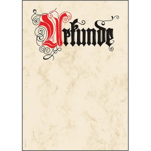 Sigel DP548 Lot de 12 feuilles de papier cartonne A4 85 g style calligraphie "Urkunde" en langue allemande (Import Allemagne)