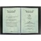 SIGEL DP263 Papier a  lettres, 21 x 29,7 cm, 90g/m², marbre vert clair, 100 feuilles