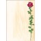 SIGEL DP695 Papier a  lettres, 21 x 29,7 cm, 90g/m², une rose rouge, rose et vert, 25 feuilles